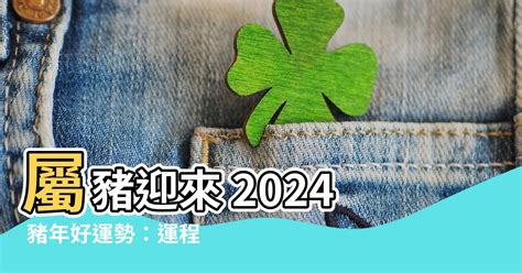 2024 豬 年 運程|【2024屬豬運程】2024屬豬運程：反覆向上、轉危為機！【開運。